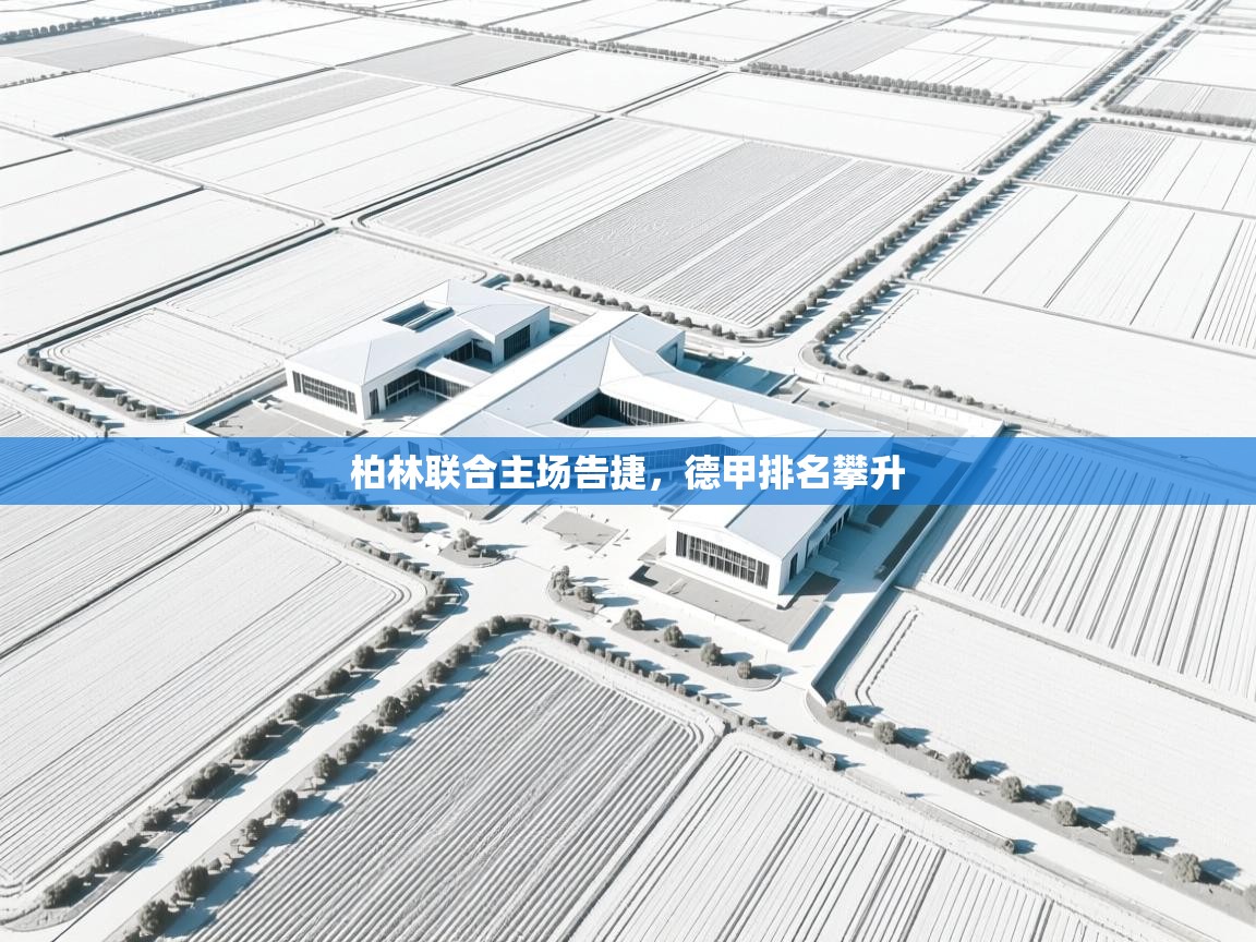 柏林联合主场告捷，德甲排名攀升