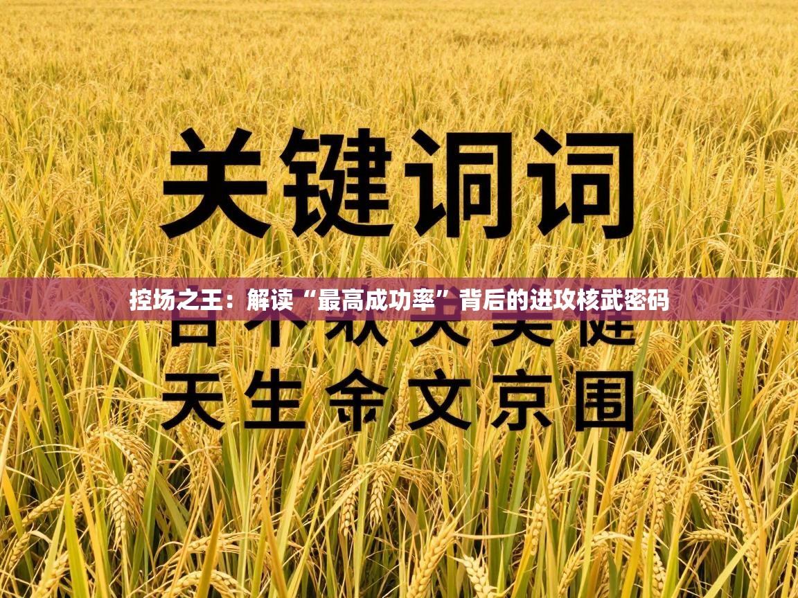 控场之王：解读“最高成功率”背后的进攻核武密码  第2张