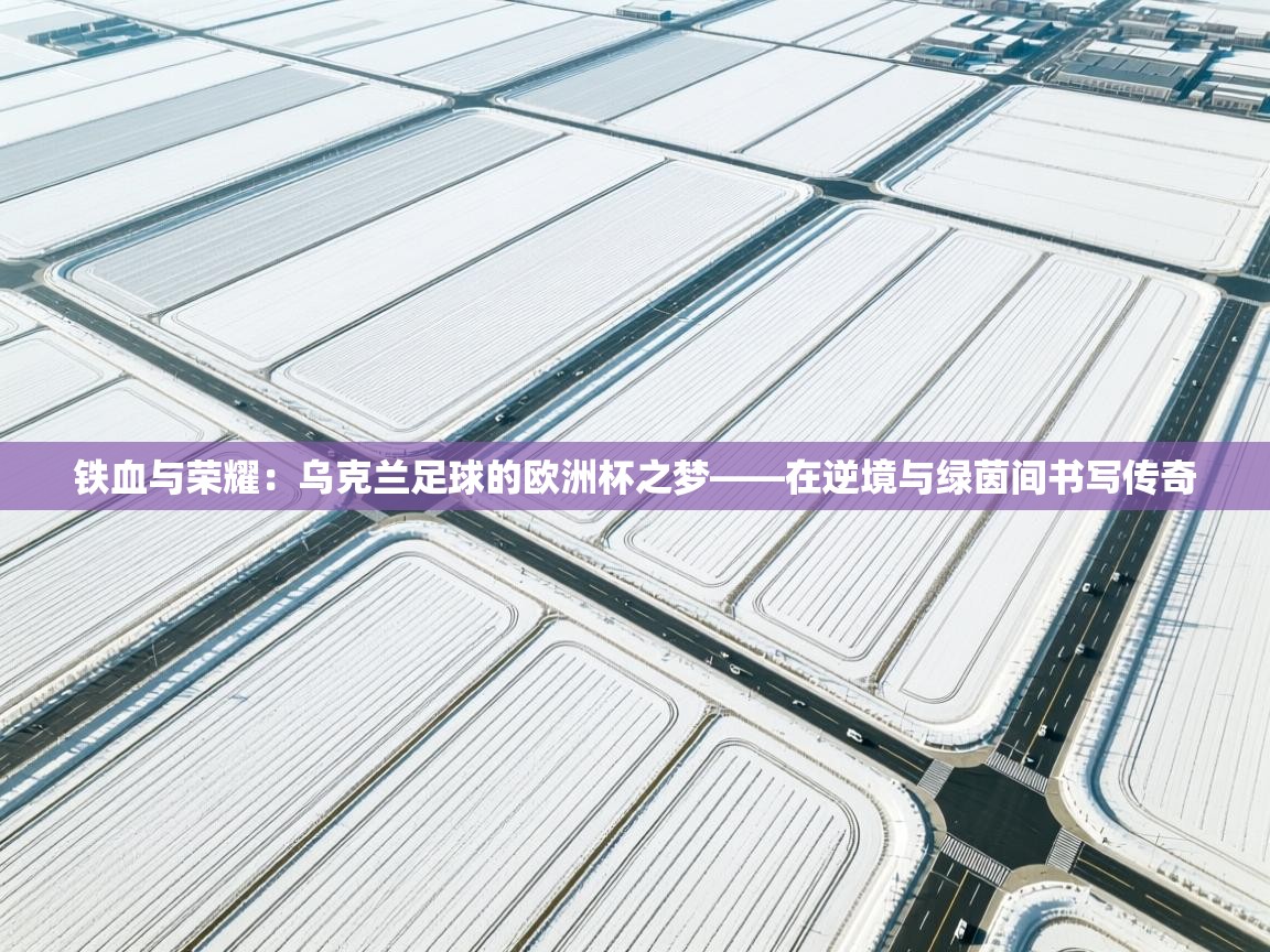 铁血与荣耀:乌克兰足球的欧洲杯之梦——在逆境与绿茵间书写传奇