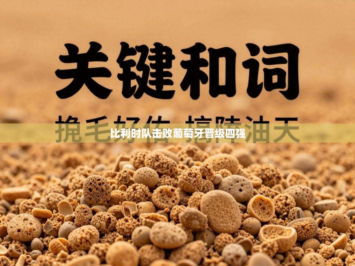 比利时队击败葡萄牙晋级四强