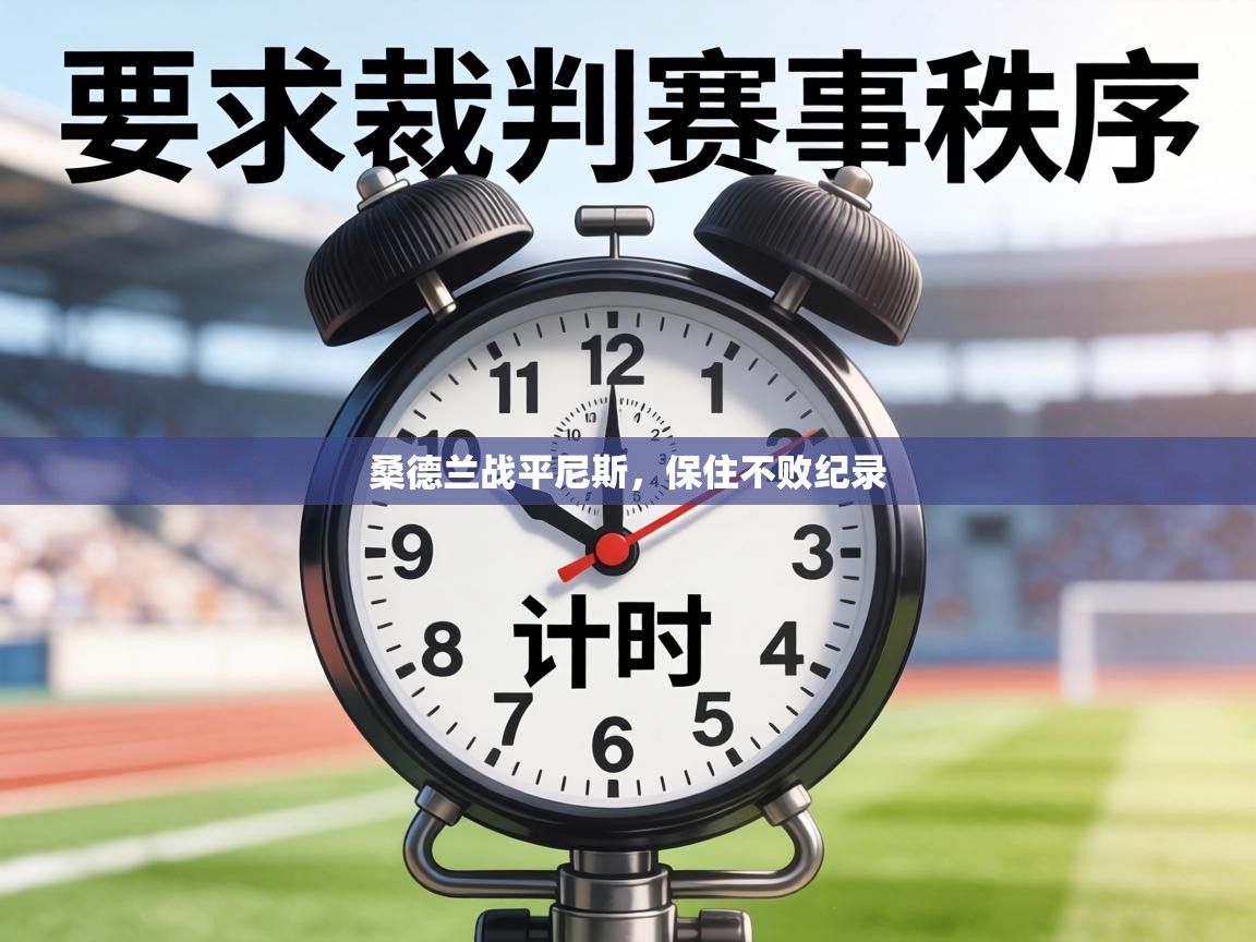 桑德兰战平尼斯，保住不败纪录